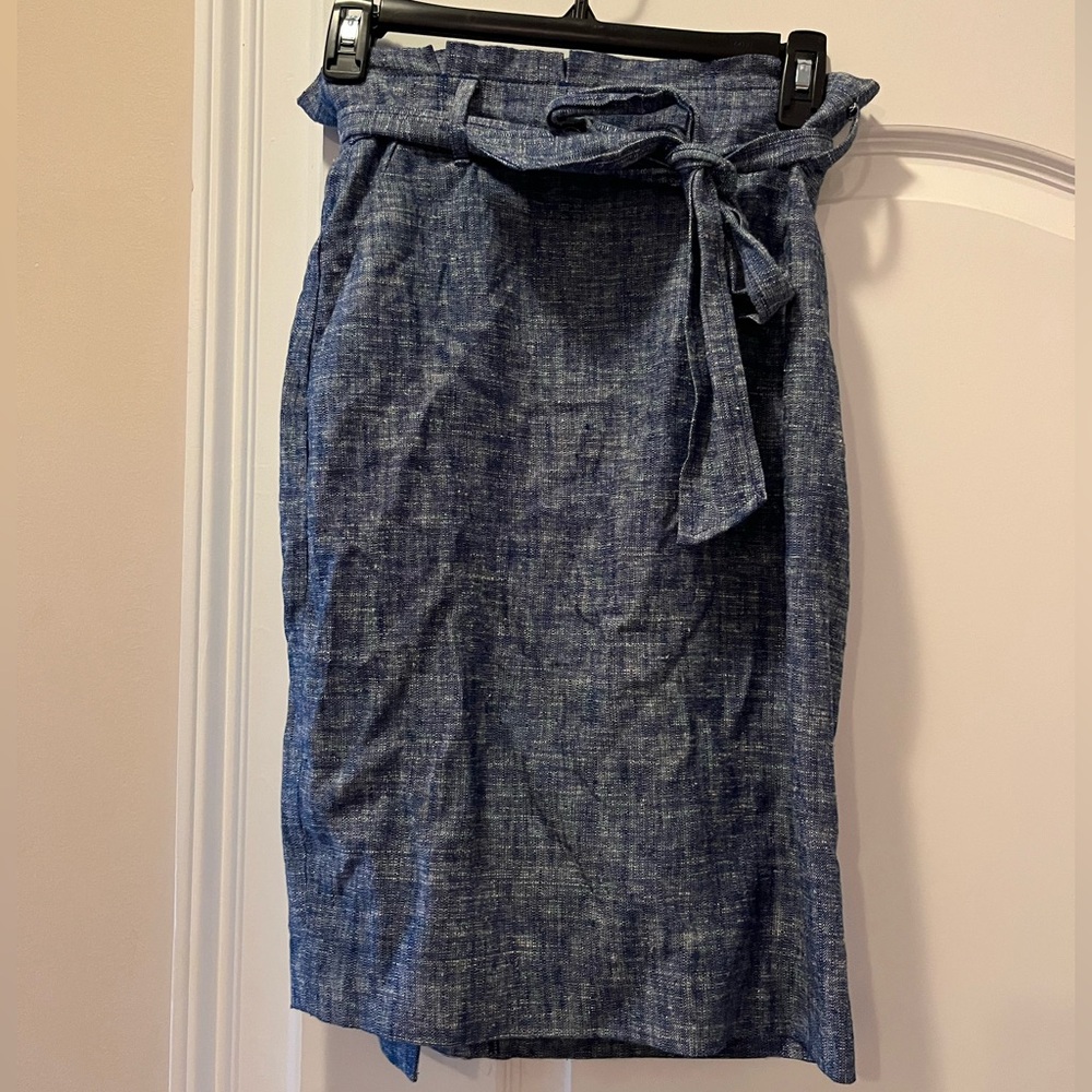 Ann Taylor Blue Pencil Skirt (4P)